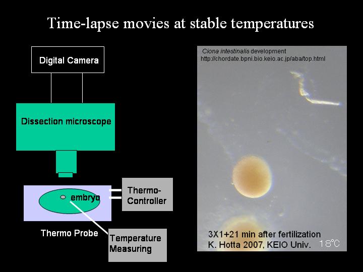 StableTempTimelapse