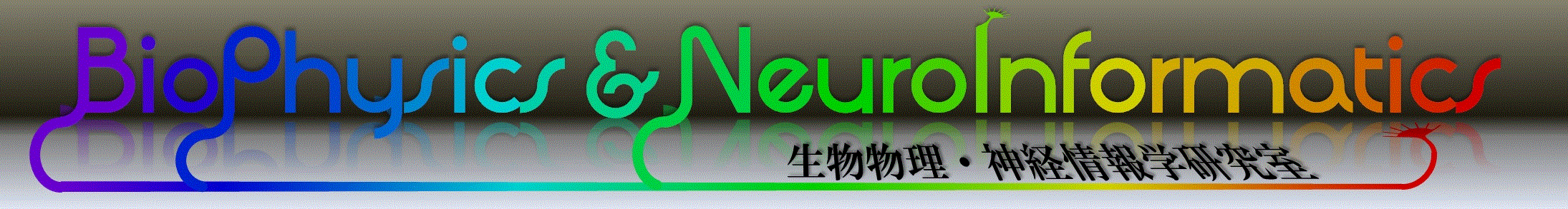 生物物理・神経情報研究室